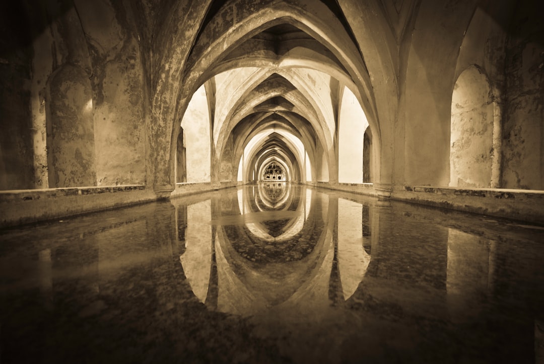 A Longing Beyond Self: The Path of Inebriation in Rumi's Mysticism