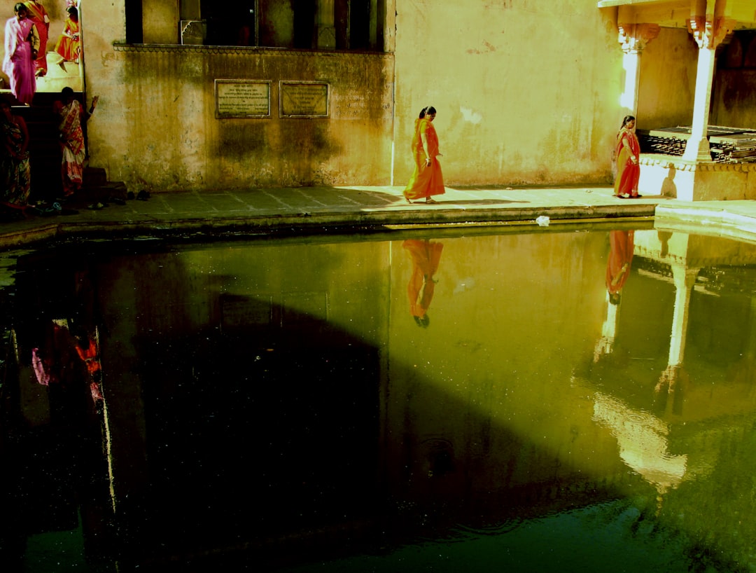 The Playful Line: A Reflection on a Ghazal by Saeb Tabrizi